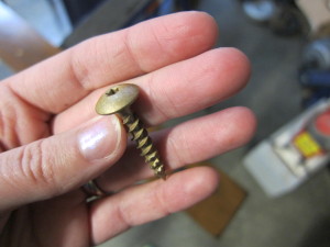 decorative gold screw