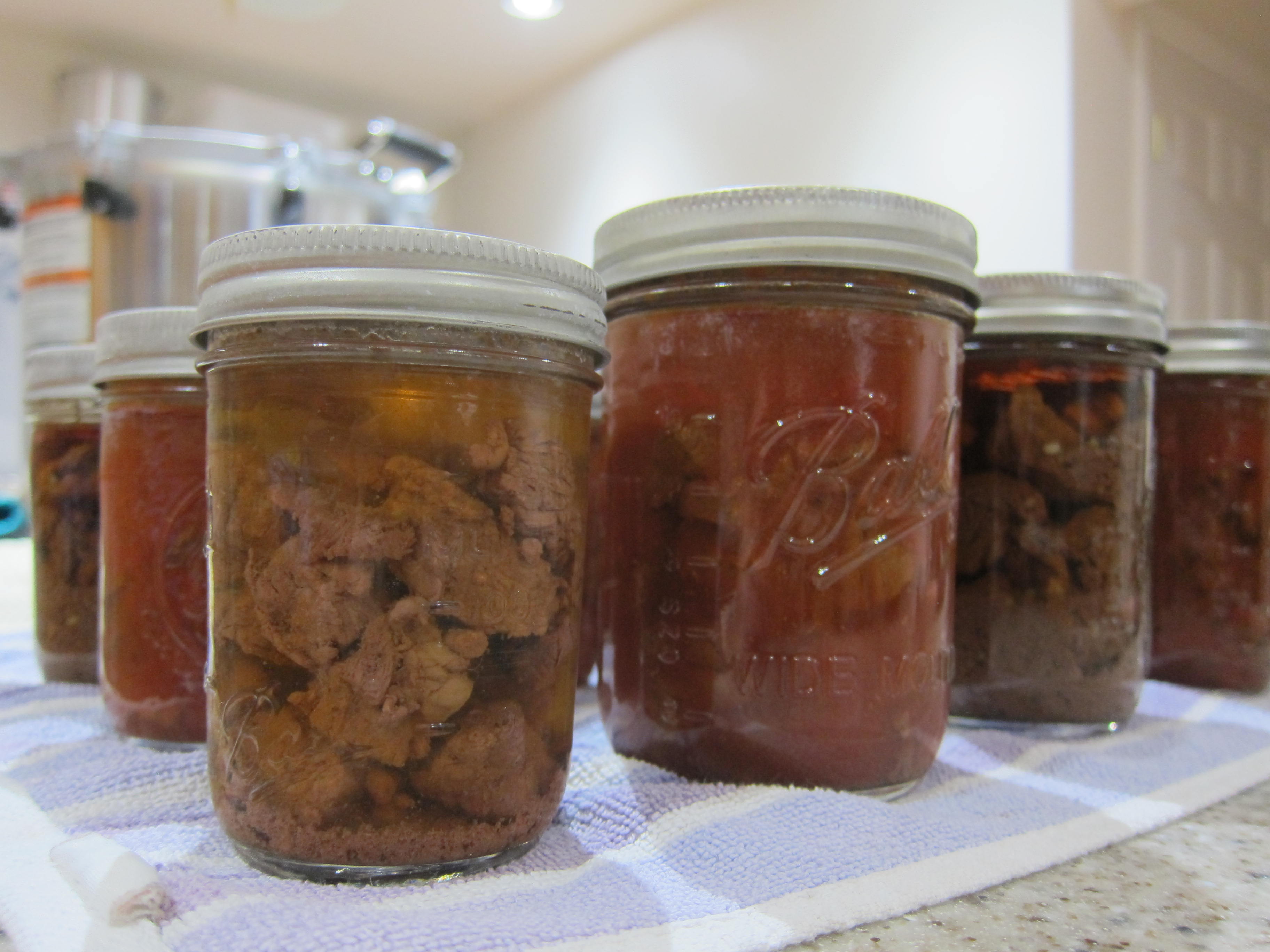 canned moose meat