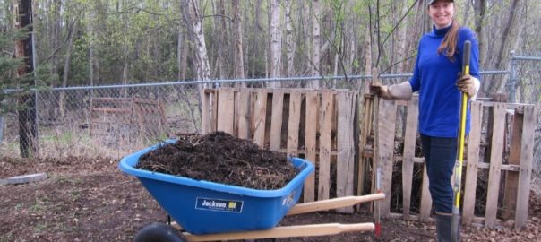 compost pallet and wheelbarrow