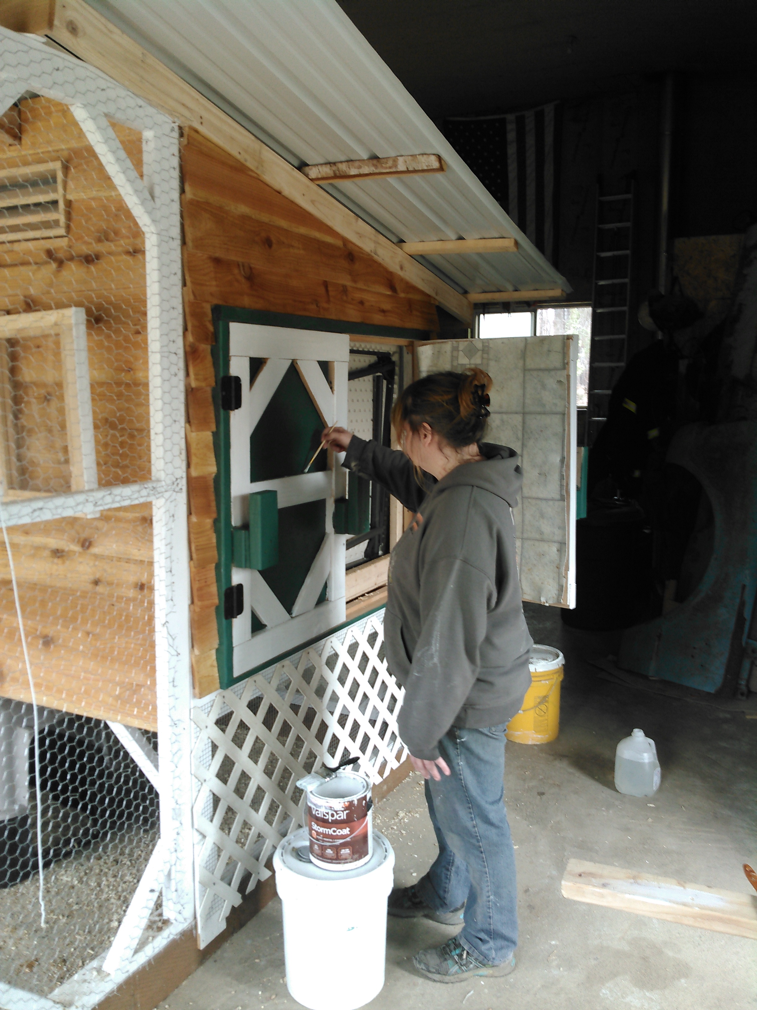painting chicken coop