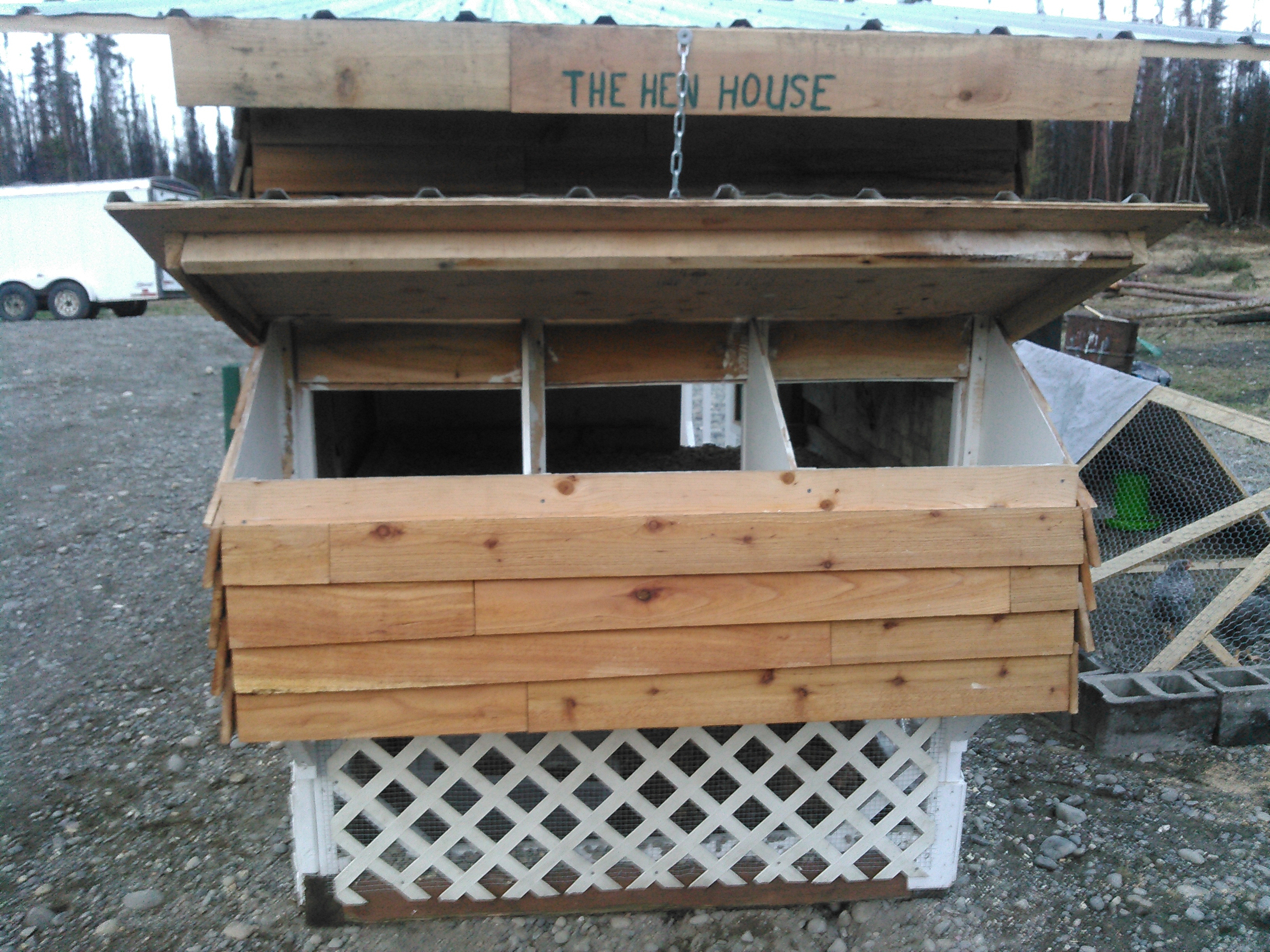 inside chicken coop nest boxes
