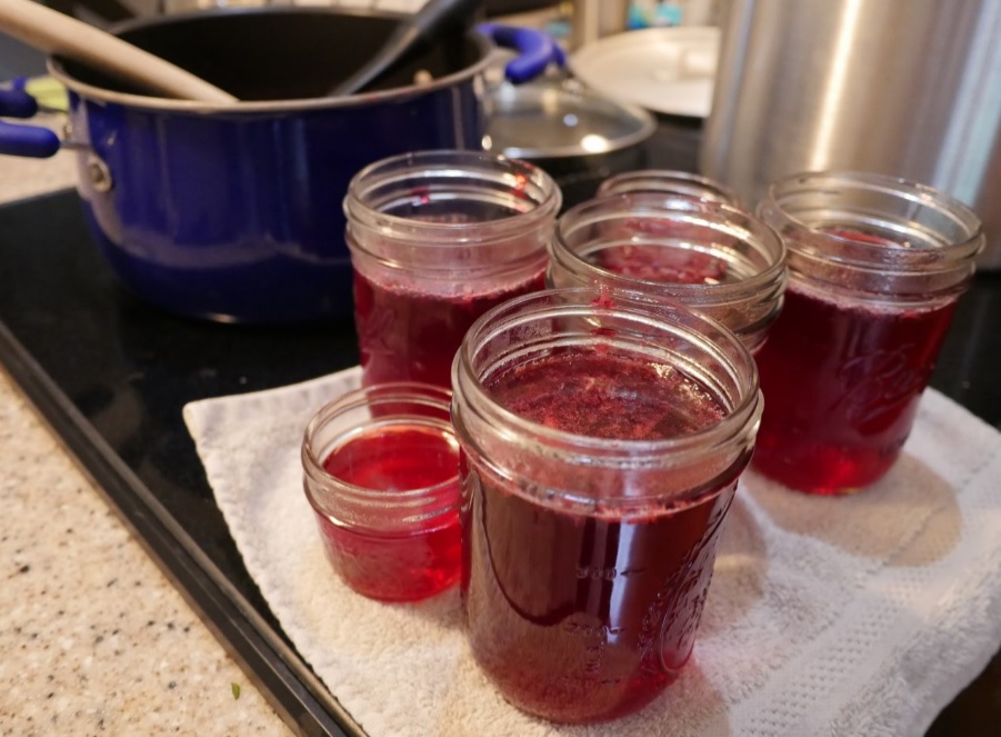 fireweed raspberry jelly in unsealed jars