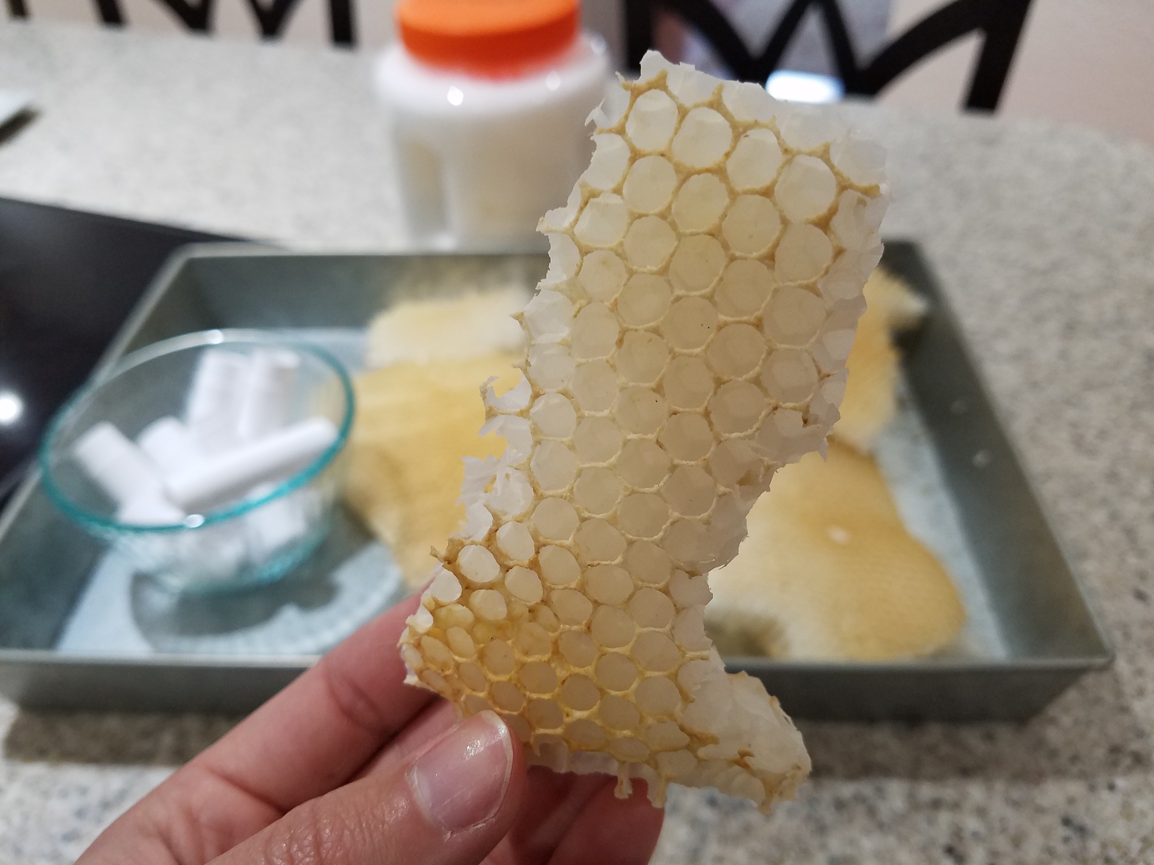 Hand holding piece of raw beeswax comb