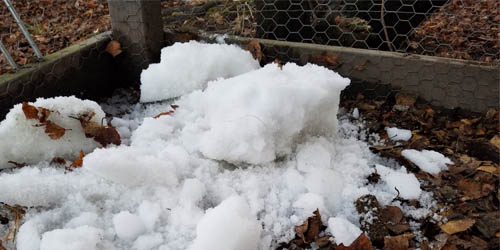 pile of snow in chicken run