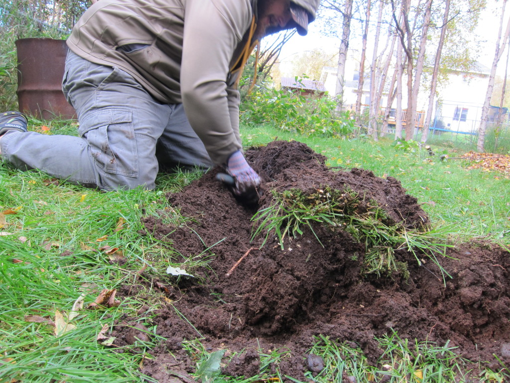 Building a Backyard Hugelkultur Garden | Hugelkultur Compost Heaps