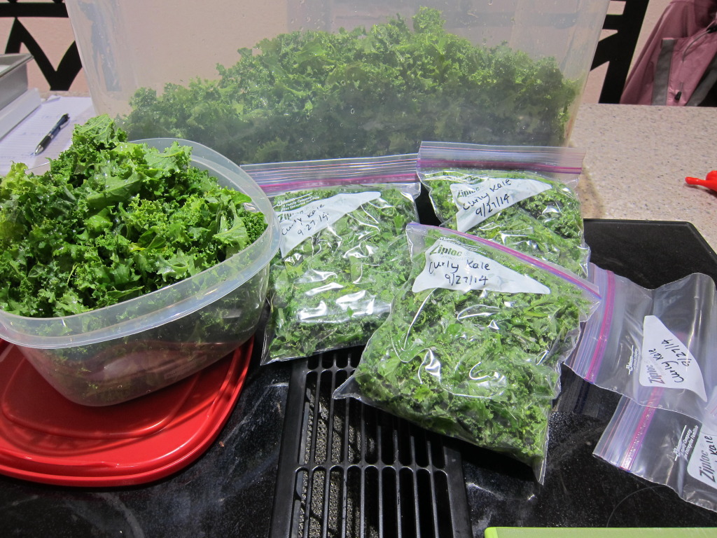 storing curly kale 