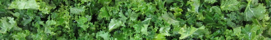 freshly prepared curly kale