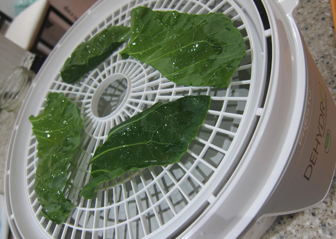 brussel sprout leaves on dehydrator