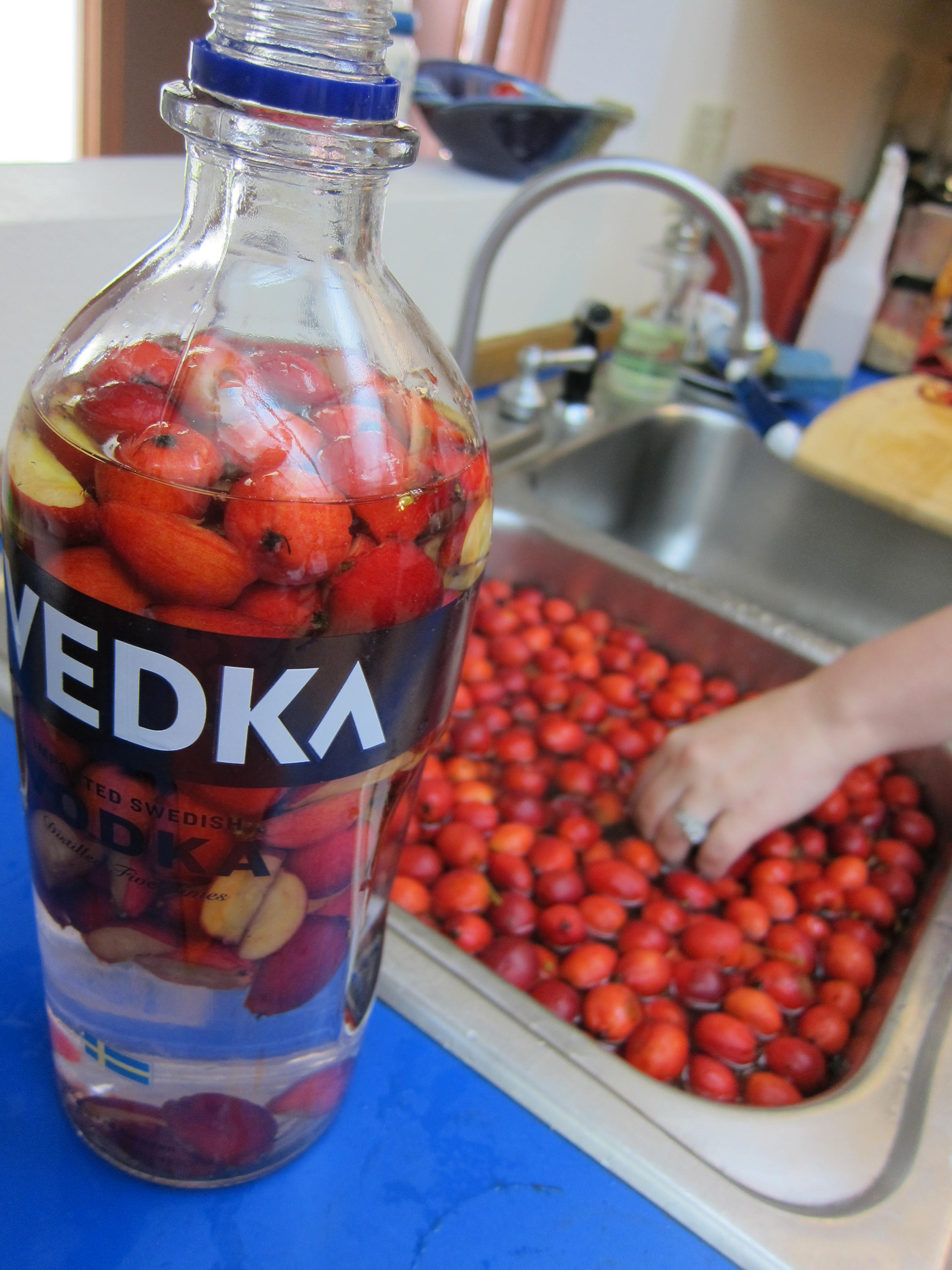 Svedka vodka bottle full of crabapples