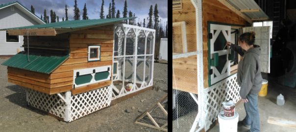 chicken coop in Willow, AK