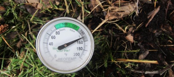 compost thermometer at 150 degrees