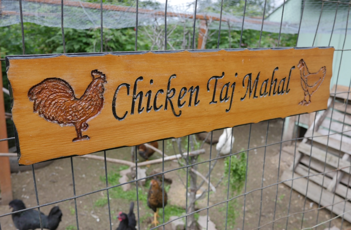 chicken taj mahal sign