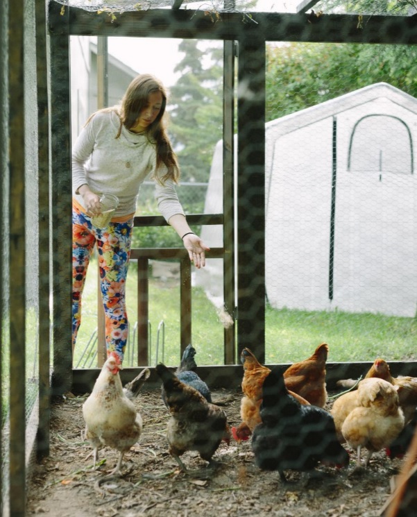 Ashley Taborsky feeding chicken coop