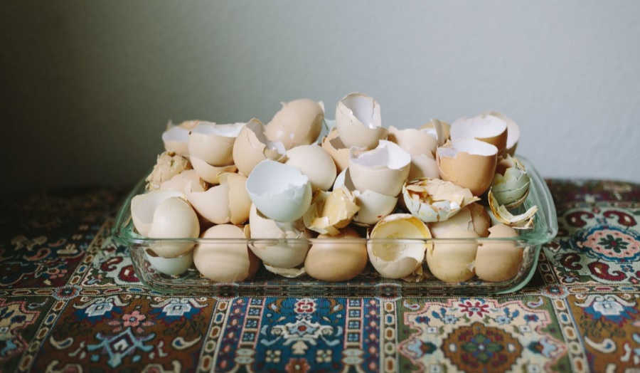 multi colored egg shells
