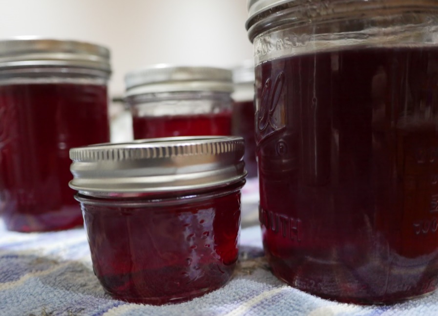 fireweed raspberry jelly jars