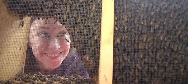 Ashley looking into honey bee box
