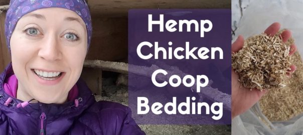 Hemp Chicken Coop Bedding Review