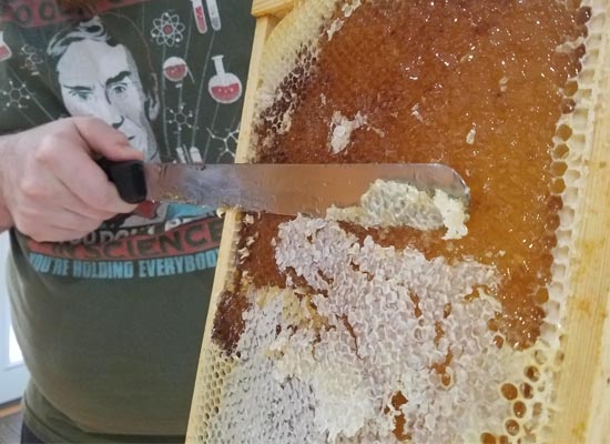 Extracting Honey From Beehive Frames | Alaska Urban Hippie